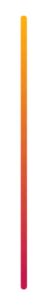 A vertical divider line in the Bee Digital Marketing colours