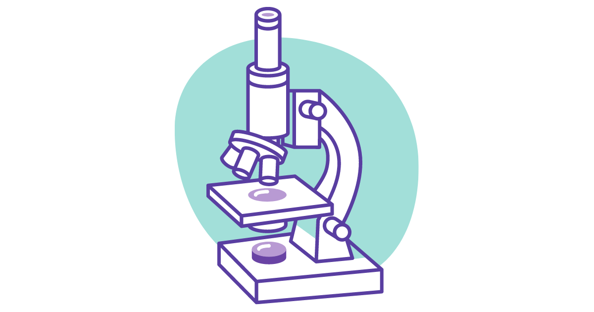 A icon of a microscope on a blue background; Bee Digital Marketing